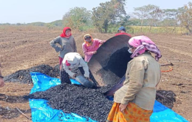 Converting Cotton Stalks into Biochar
